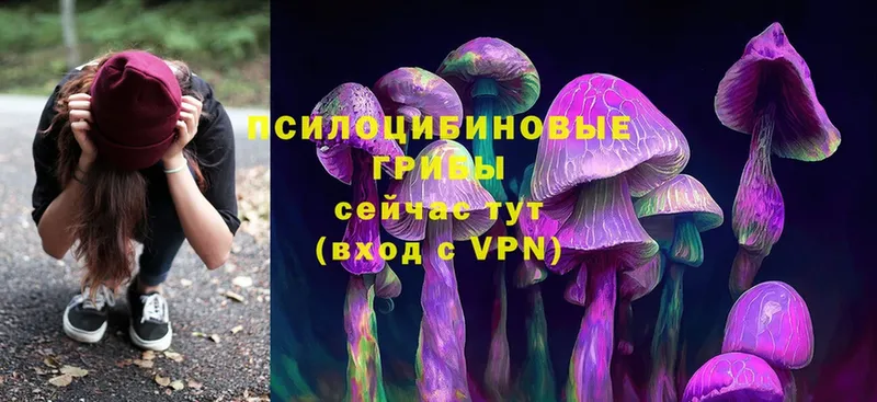 купить наркотик  блэк спрут ссылки  Псилоцибиновые грибы Psilocybe  Орлов 